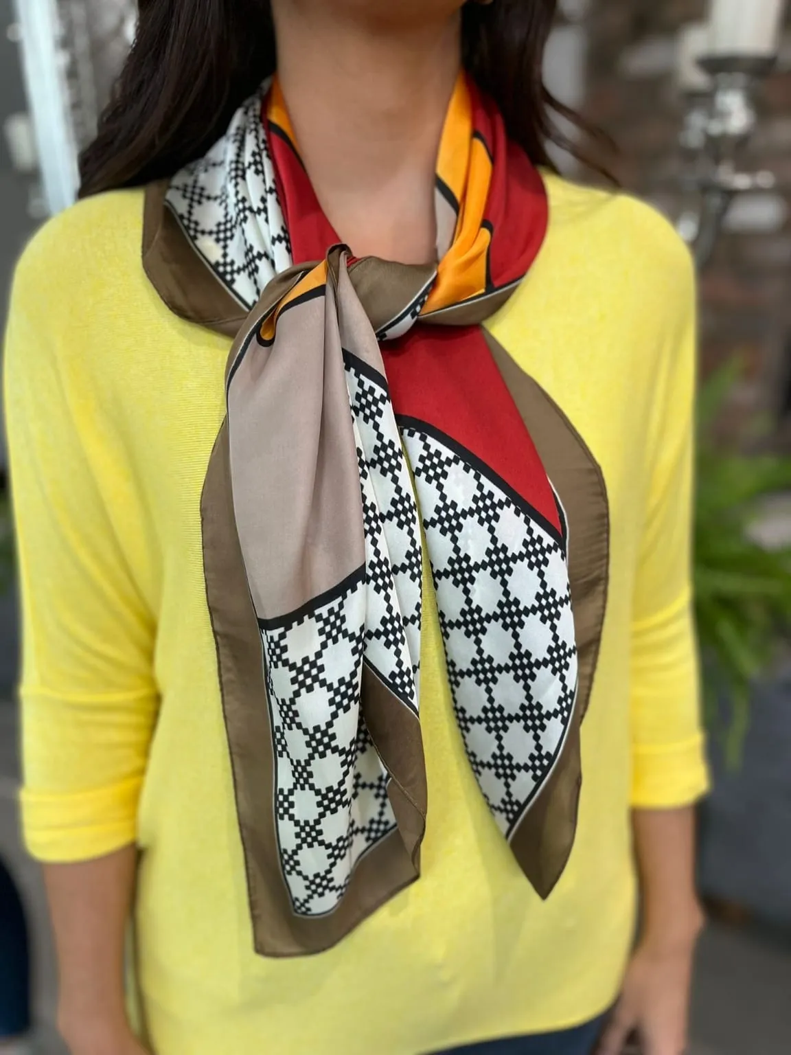 Colorblock Neck Scarf