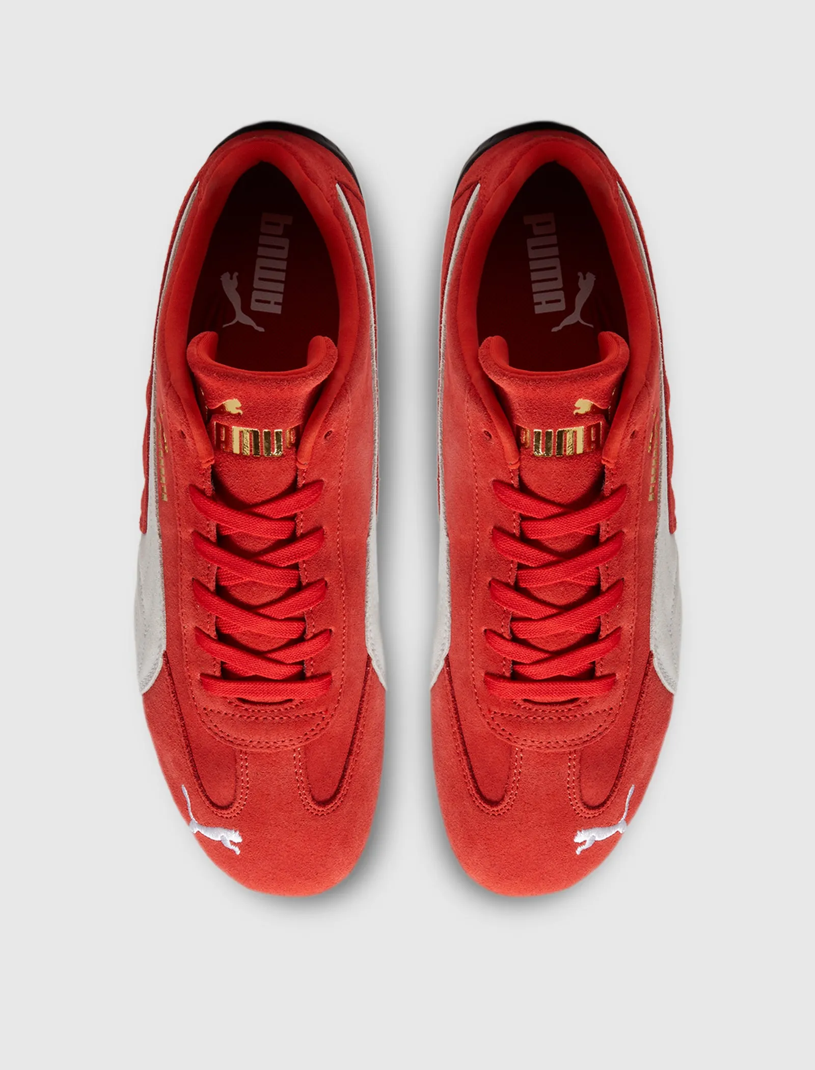 Women's Red Speedcat OG in Puma White | Shop Now