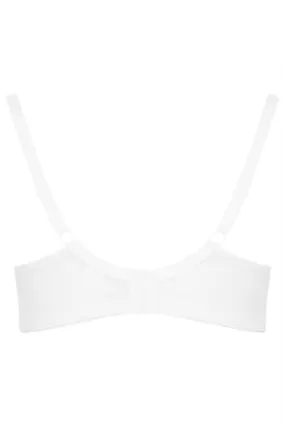 YOURS Curve White Lace Trim Padded Tee Bra